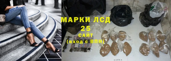 сатива Белокуриха