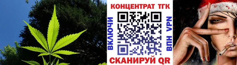 где купить   Карачаевск  мега зеркало  ТГК гашишное масло 